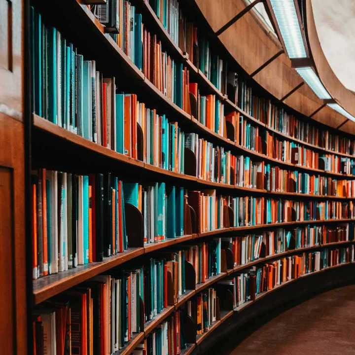 author portrait deep blue tone