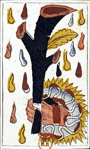 DragnDrop Image