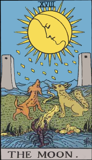DragnDrop Image