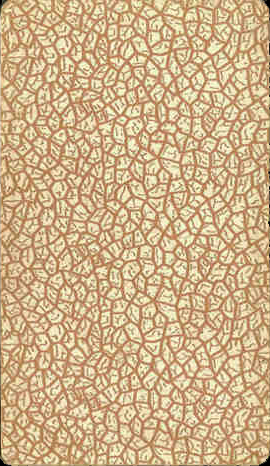 DragnDrop Image